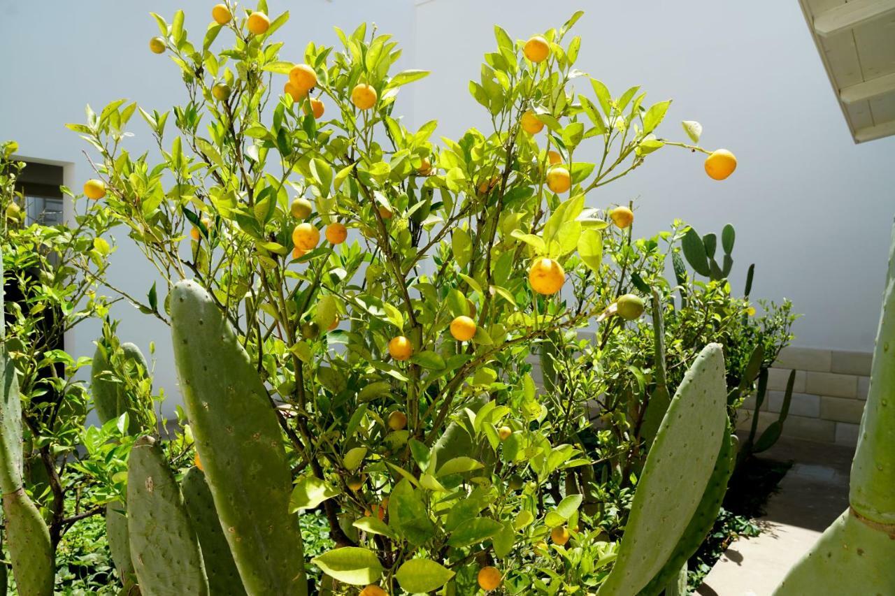 Vila Torre Lapillo Fronte Mare In Centro Con Parcheggio Coperto Exteriér fotografie
